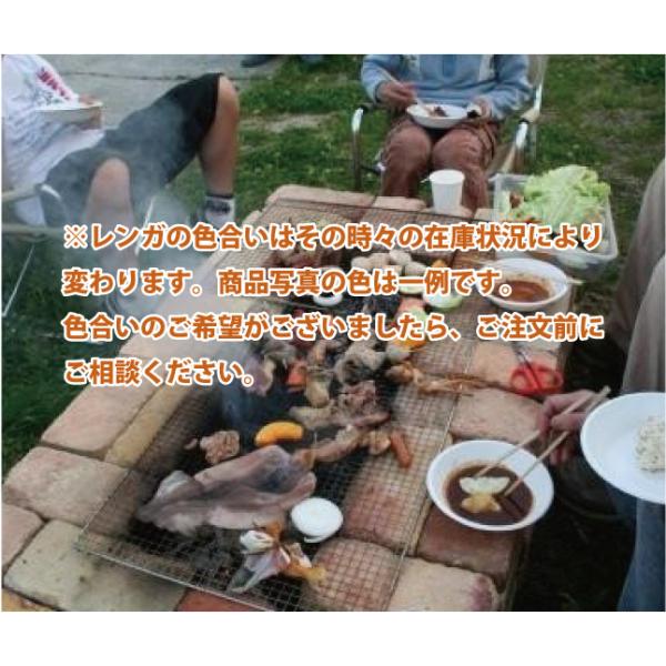 �����K �� ��^ �o�[�x�L���[�R�����p�����i�������j�o�[�x�L���[ �K�[�f�� �A���e�B�[�N�����K ���Y �ωΗ���  ���O�×��� �K�[�f�� �ȒP ���� ������� ���� ���i�摜1