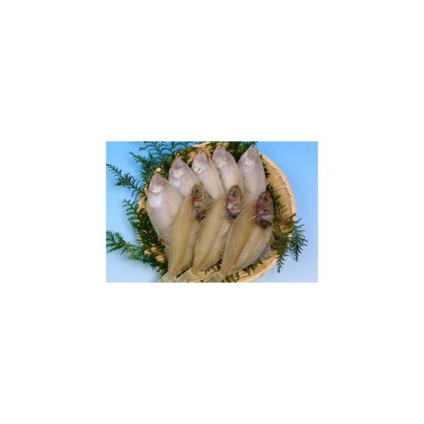 干物 水かれい一夜干し