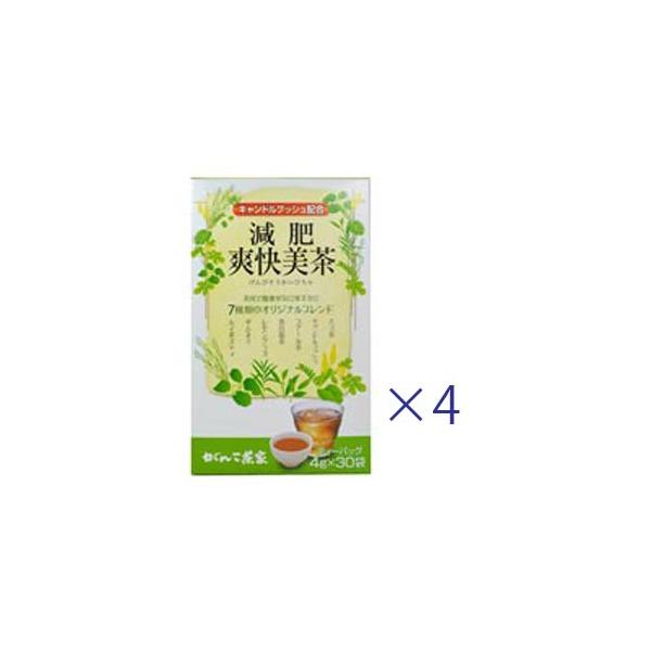 【話題のキャンドルブッシュなど7種の素材をブレンド】「がんこ茶家 減肥爽快美茶 4g×30袋」は、ハブ茶やキャンドルブッシュ、プアール茶などの7種の素材をブレンドした健康茶です。ダイエットのサポートや、毎日の美容と健康に「がんこ茶家 減肥爽...