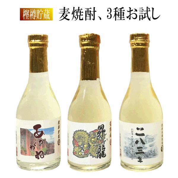 Ql߁ Ē25x@R킨R{Zbgie300mlj@ʂ蔄ĒuˁvuON@vu@283Nv