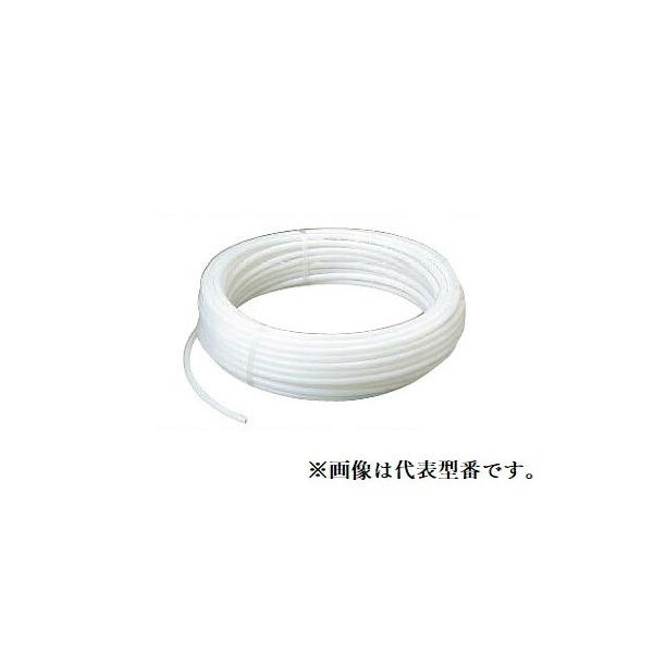 I_쏊 yPEX16C-100zJ|pCvW ˋ|G` Ăьa16 100kICl