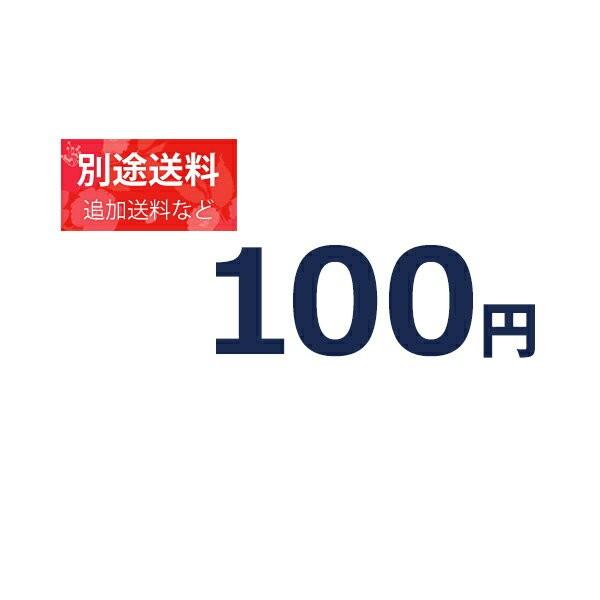 100円分の別途追加料金』追加料金等の別途追加料金専用ページ