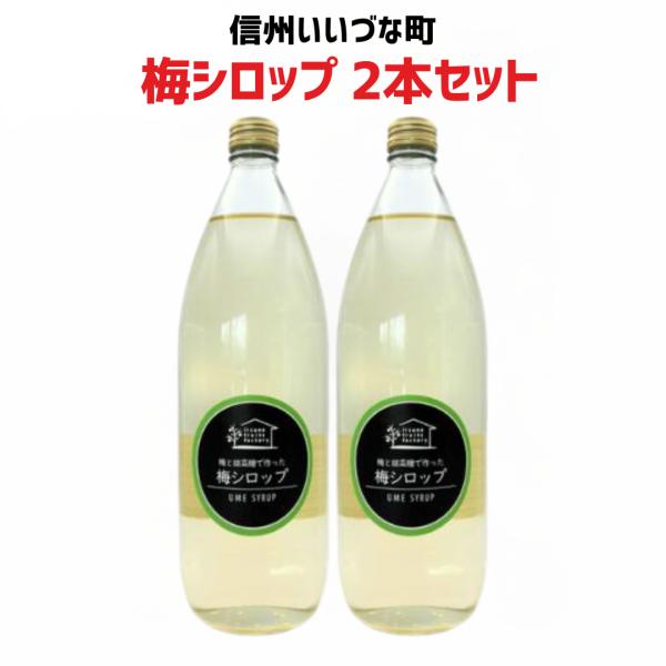 梅シロップ  2本セット 1L 長野県 飯綱町 いいづなファーム 信州 ストレート 国産 ギフト うめ ジュース