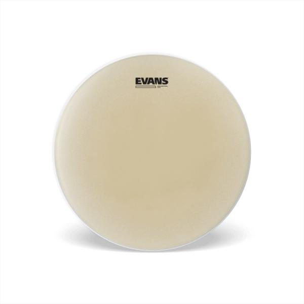 EVANS S14GEN30 [Orchestral 300 Snare Side 14]y1ply C 3milz
