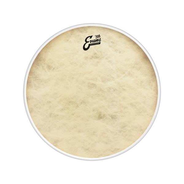 EVANS BD20CT ['56 - Calftone Bass 20 / Bass Drum]�y1ply �C 12mil�z