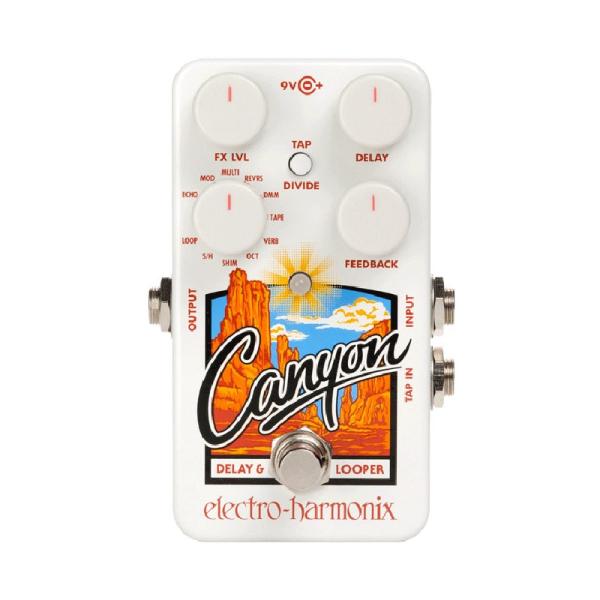 Electro Harmonix Canyon [Delay &amp; Loopers] ディレイ エレハモ