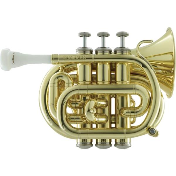 Carol Brass レザーバッグ　ミニトランペット専用 Carol Brass レザーバッグ ミニトランペット専用 Carol Brass