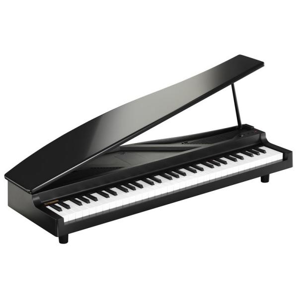 KORG �y���Z����s�����Z�[���zmicroPIANO BK �u���b�N�y���蕨�ɂ��œK��z