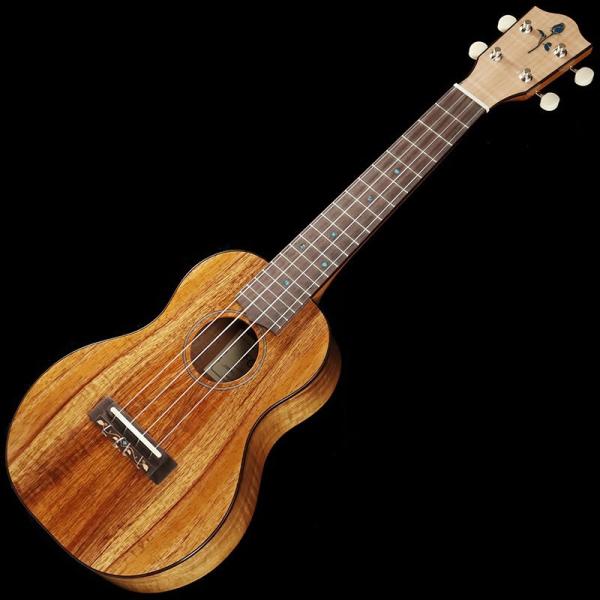 FUJIGEN FGN Acoustic FUS-TC [Concert] tWQ