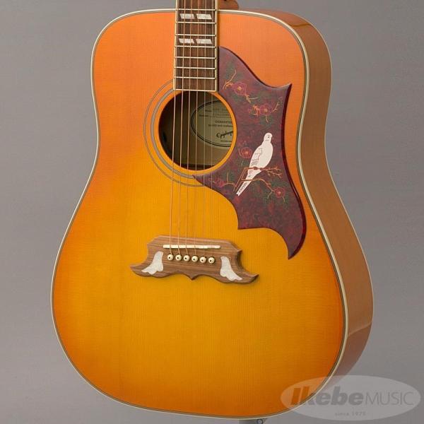 Epiphone yʌGstHEANZT[pbNv[gzDOVE Studio (Violinburst) GstH