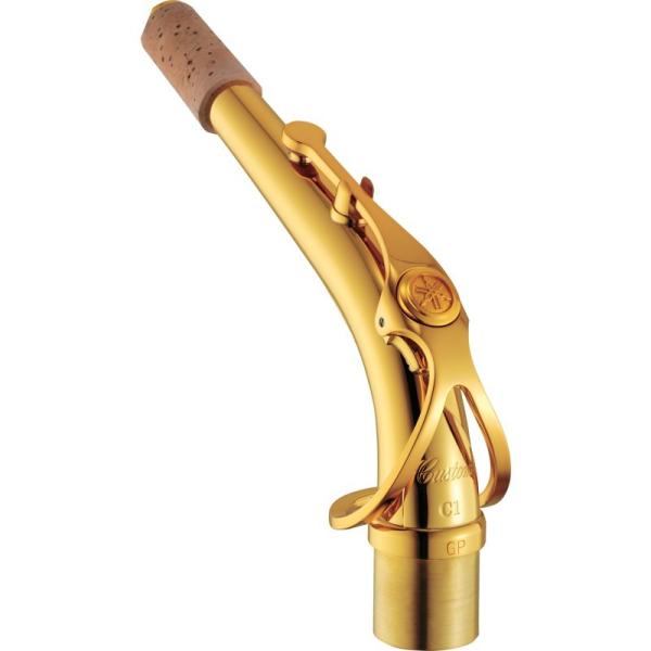 YAMAHA AgTbNXplbN }n AC1GP