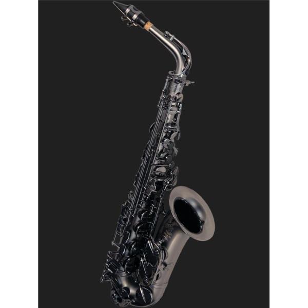 キャノンボール アルトサックスの人気商品 通販 価格比較 価格 Com