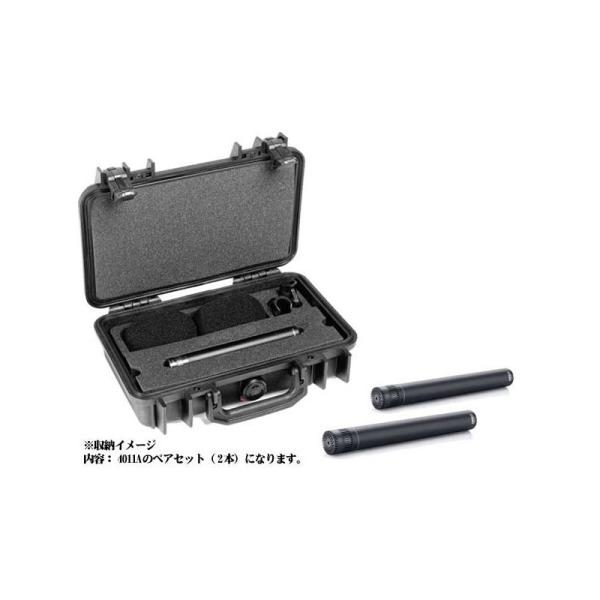 DPA ST4011A XeIELbgi4011A×2j