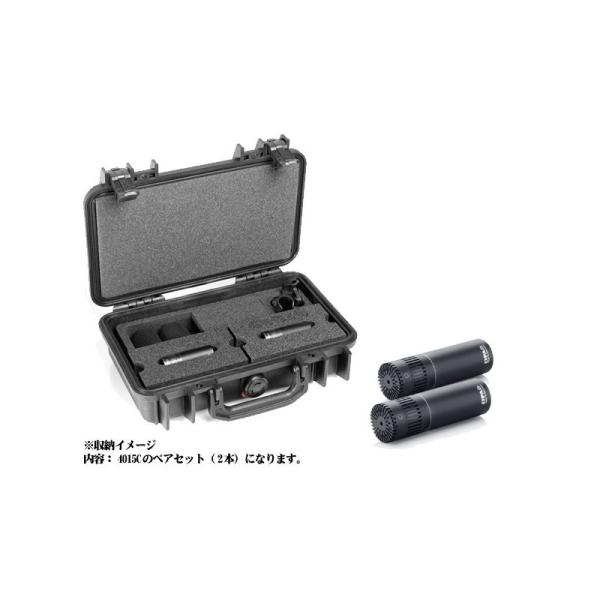 DPA ST4015C �X�e���I�E�L�b�g�i4015C×2�j