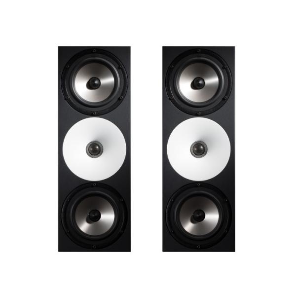 Amphion �y�󒍐��Y�i�zTwo15 (�y�A)(�p�b�V�u���j�^�[�X�s�[�J�[)(�X�^�W�I���j�^�[)(�j�A�t�B�[���h)(Two 15)(�A���t�B�I��)