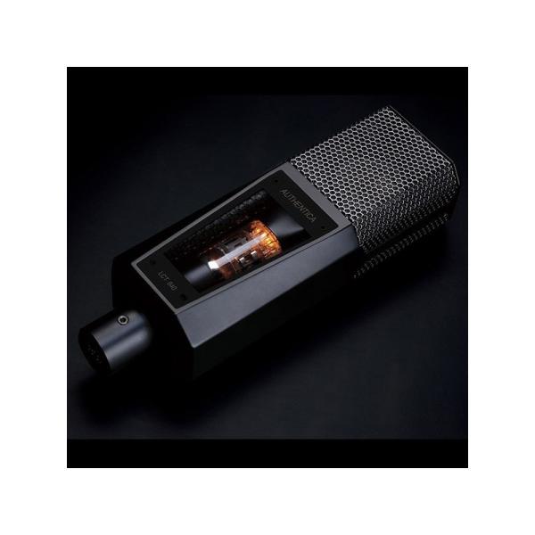 LEWITT LCT 840 (���[�C�b�g) �}�C�N���t�H��