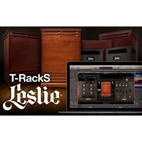 IK Multimedia T-RackS Leslie (s)(IC[i)