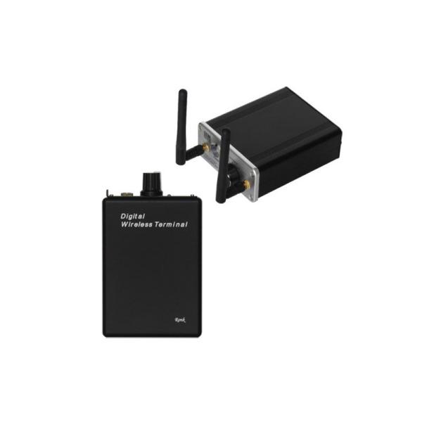 RWE01S Wireless In-Ear Monitor System