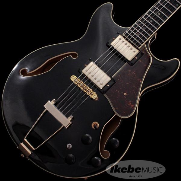 Artcore Expressionist AMH90-BK