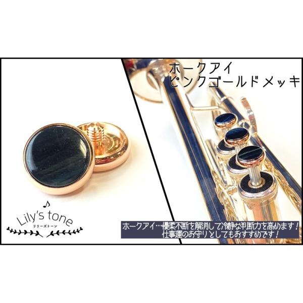 Lily's tone [Yg[ / }np gybg sXg {^ z[NAC sNS[hbLdグ 3 (1Zbg)