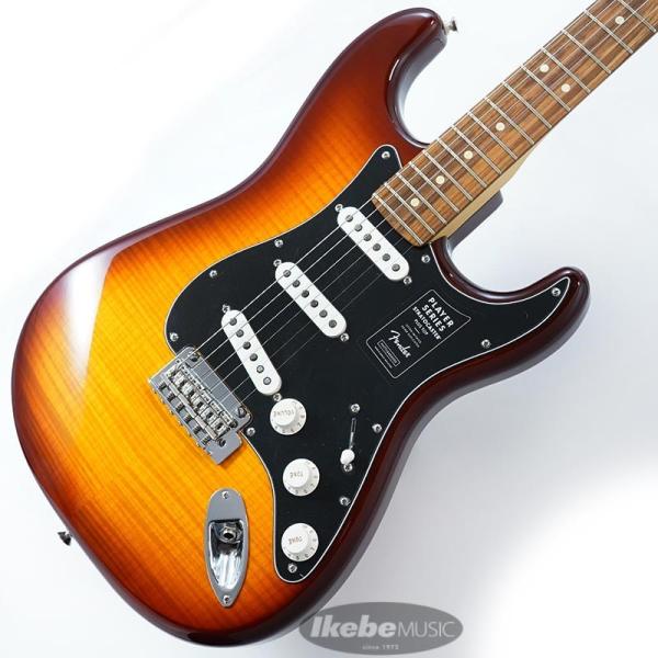 Player Stratocaster Plus Top Tobacco Sunburst Pau Ferro