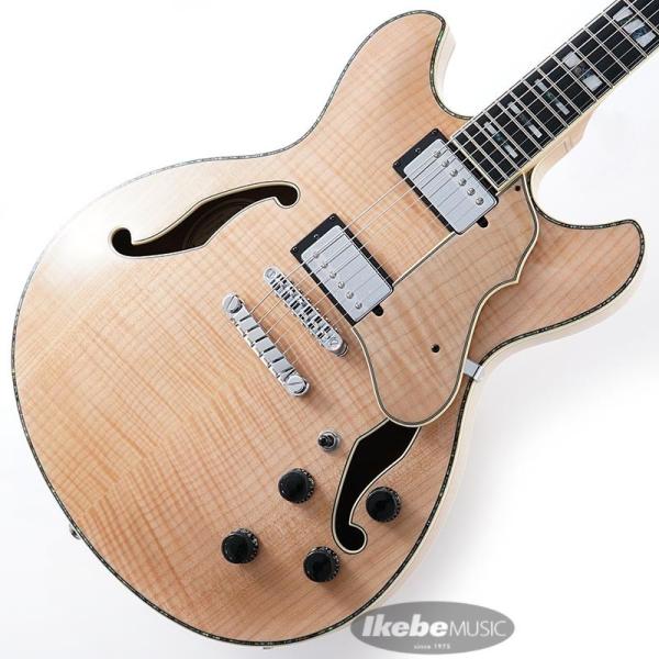ARTSTAR ASV113-RNT