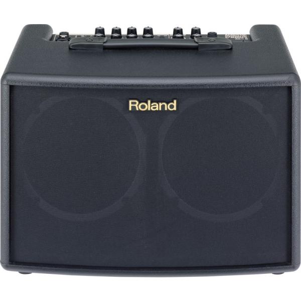 AC-60 Acoustic Chorus