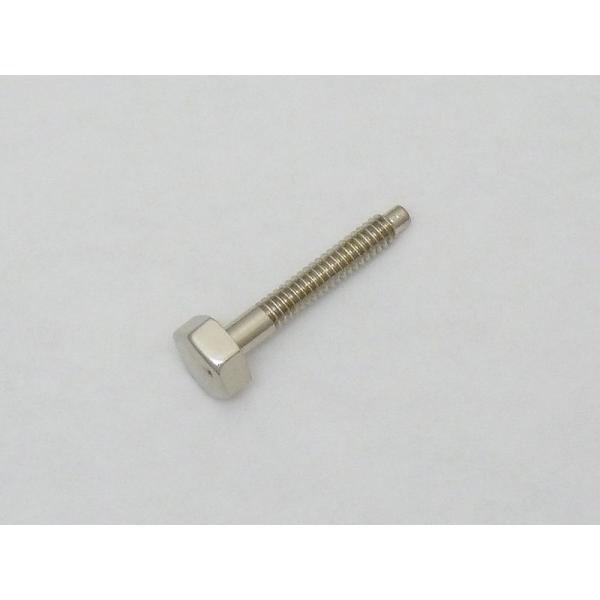 V.Bach (ヴィンセント・バック) 純正 C180 / AC190 C管 トランペット用 ストッパー ネジラッカー仕上げ（GL）の楽器にご利用頂けます。※こちらの商品はストッパー ネジ 1つの販売となります。ネジパーツ単体での販売となり...