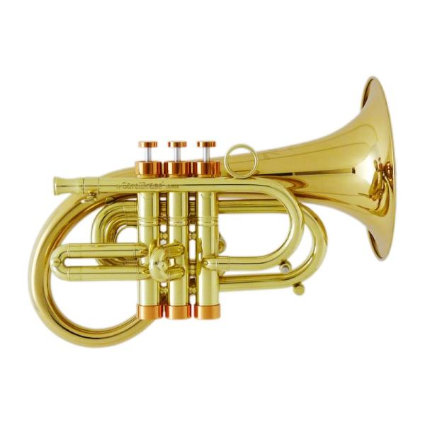 ikebe_753459 ikebe_753459