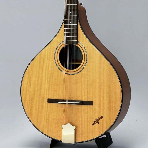 BOY-2 Irish Bouzouki
