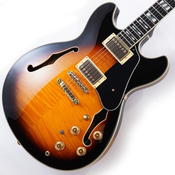 JSM10 John Scofield Signature Model