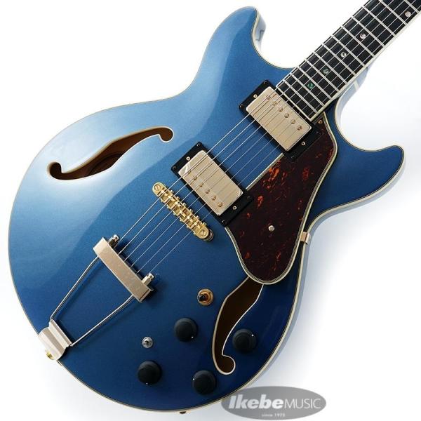 Artcore Expressionist AMH90-PBM