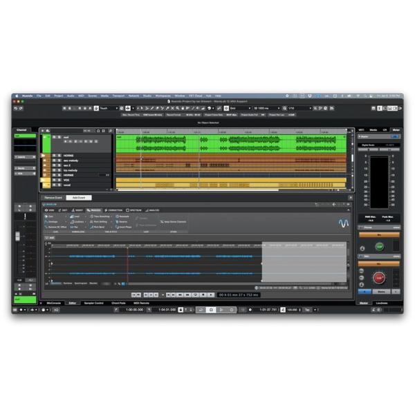 DTM・DAW Steinberg Wavelab Pro 12 Steinberg WaveLab Pro 12 Mastering Software Suite | Sweetwater