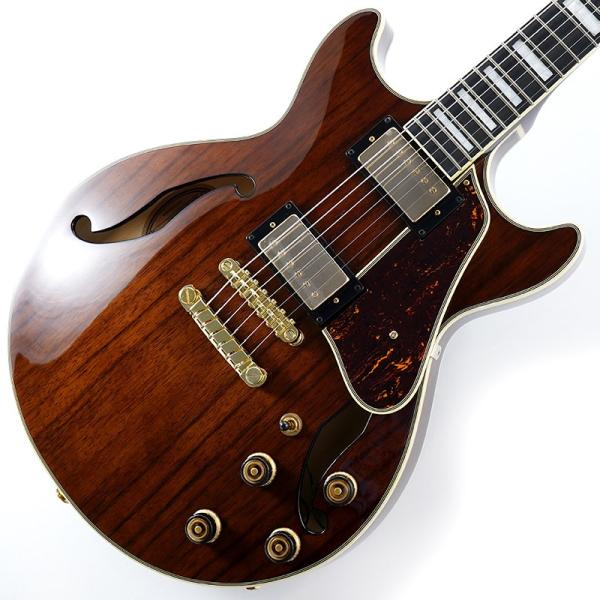 Artcore Expressionist AM93ME-NT