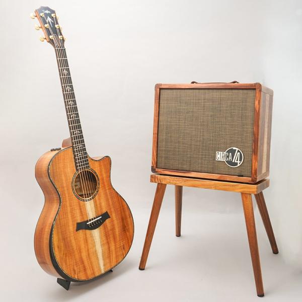 LTD 924ce 50th Anniversary Amp