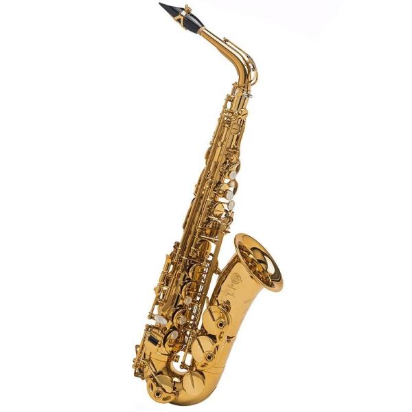 SELMER（セルマー） Selmer Paris 【彦坂眞一郎氏選定品】アルト