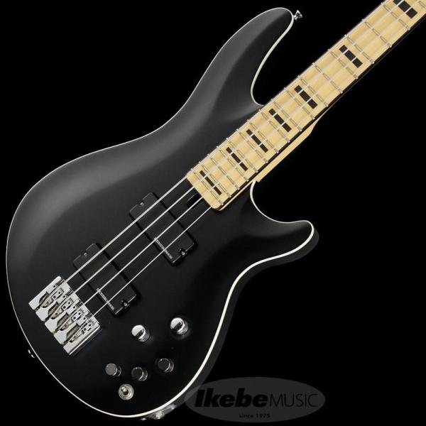 【希少美品】SCHECTER Progauge Series 5弦ベース SCHECTER SCHECTER Progauge Artist Model Series PA-TM : イケベ楽器