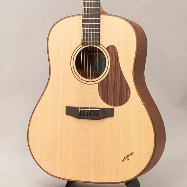 DR-WD110