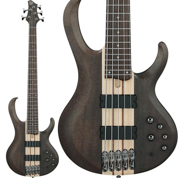 Ibanez（アイバニーズ） Ibanez BTB605-TGF 【特価】 : イケベ楽器店