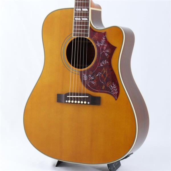 Hummingbird Standard EC Antique Natural