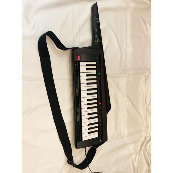 KORG 【大決算セール】RK-100S2 BK(ブラック）【1台限定・展示入替特価品】コルグ　キーター