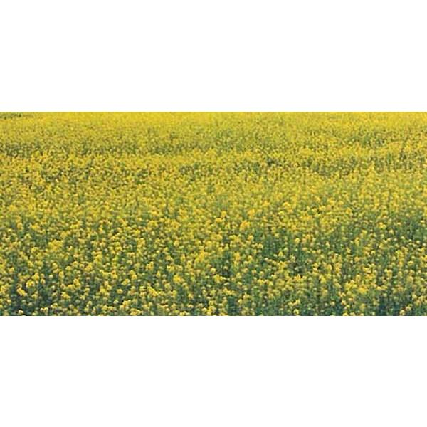 Δ@iϗpΔ@VJV@ń@1@JlRc