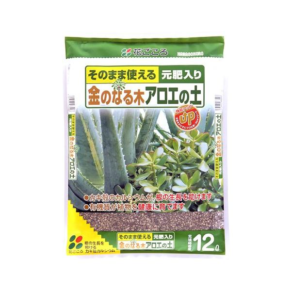 ̂Ȃ ؃AG̓y@PQbg Ԃ