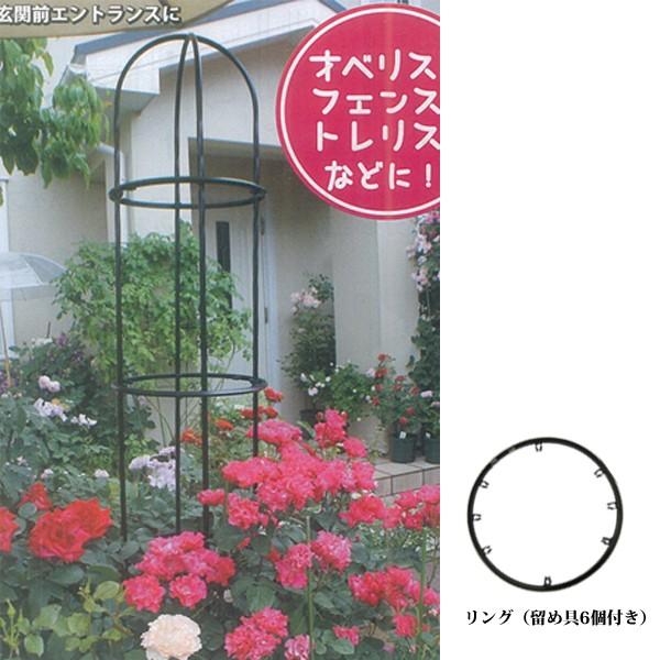 [YX^CV[Y@O@a40^Cv@rj[