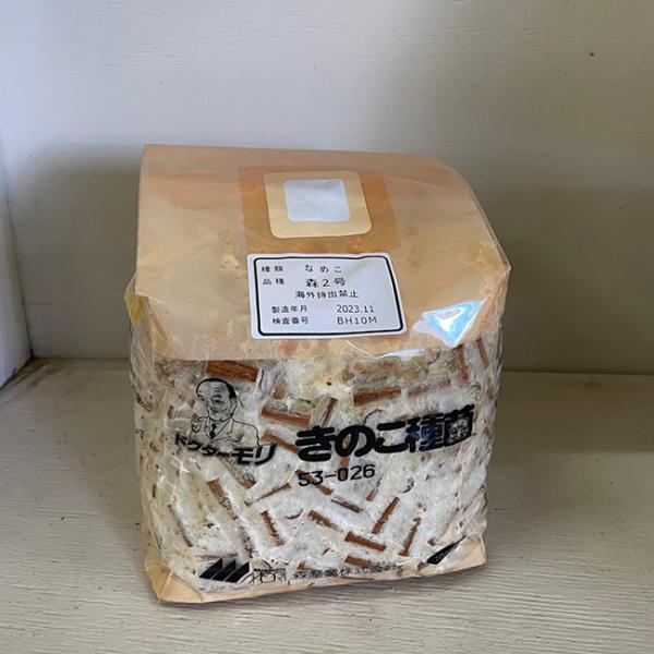 原木栽培用のナメコの種駒菌です。中生種で、環境適用範囲が広く、栽培しやすいナメコです。収量が多いので、たくさん採れます。品種名：森2号/中早生（海外持ち出し禁止）