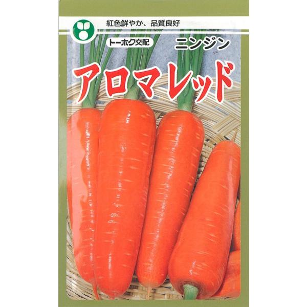 ニンジン　種　アロマレッド　１万粒　2袋 人参] アロマレッド コート1万粒 (株)トーホク(野菜種/人参