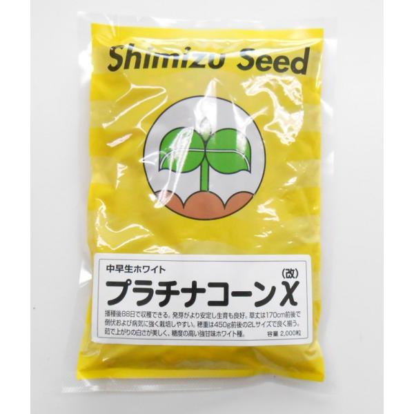 フルーティーな食感クリスタルホワイト種シミズのタネ