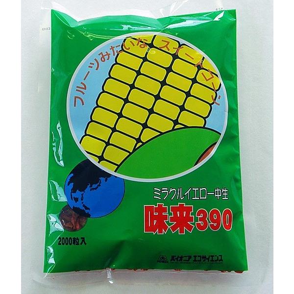 フルーツのような味わいのスイートコーン。糖度が高く、粒皮がやわらかい。おいしいイエロー種です。