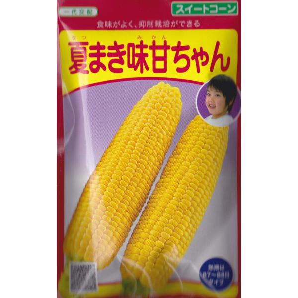 武蔵野種苗園 トウモロコシ 種 夏まき味甘ちゃん 100粒 : イケダ