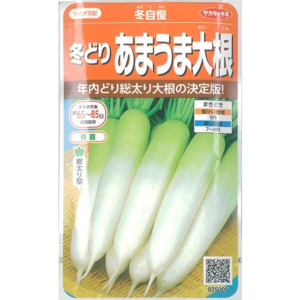 サカタのタネ 青首ダイコン 種 冬自慢（ふゆじまん） 実咲小袋